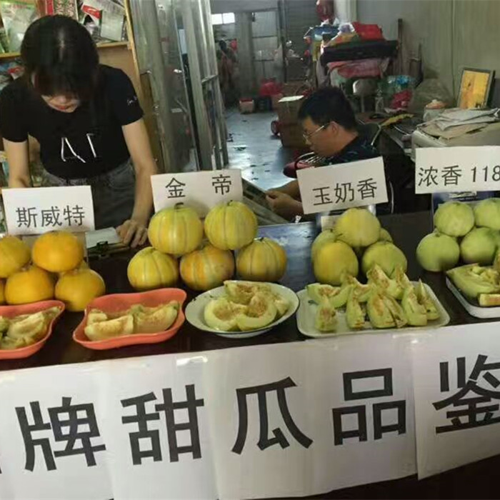 蔬菜種子種植戶鼎牌種植戶-鼎牌甜瓜品鑒會(huì)（贛州）